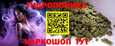 ГАЛЛЮЦИНОГЕННЫЕ ГРИБЫ Гусь-Хрустальный